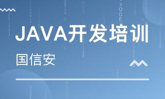 成都四川國信安職業培訓學校 河北新聞網推薦品牌，專注軟件外包服務